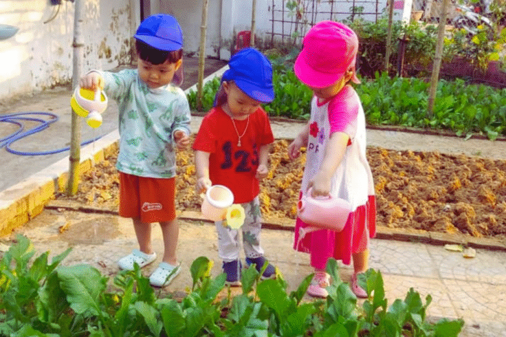 Thiết kế chưa có tên